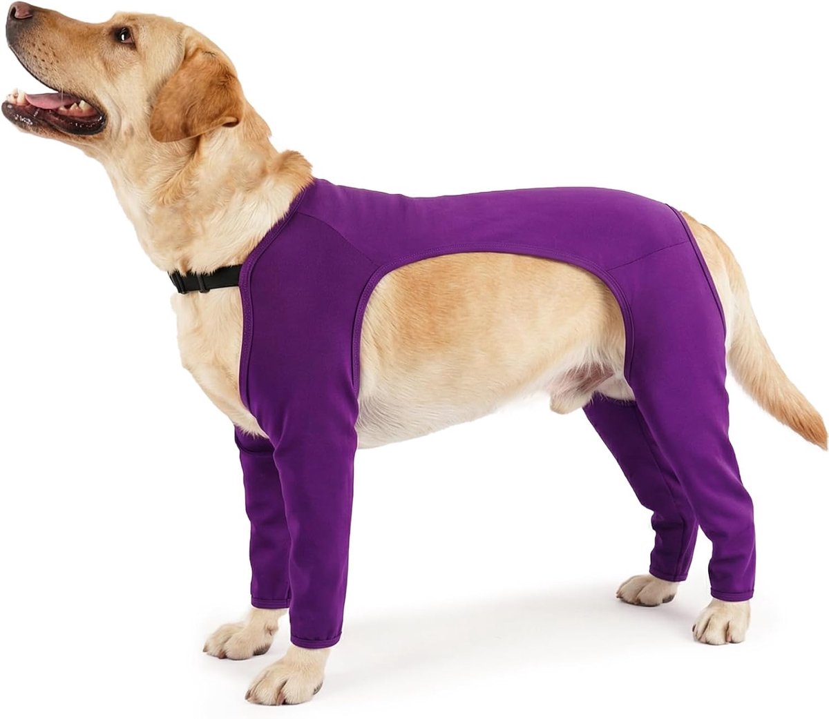 Chirurgisch herstelpak voor honden, voorbeen, wondbeschermer na chirurgie, hondenpak, volledige dekking, rugbeenwondbeschermer (paars, M)
