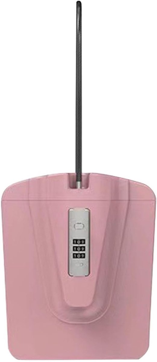 Reisslotbox - Draagbare kluis - Waardevolle spullen beveiligen - Verstelbaar cijferslot - 22x12x19 cm - Roze