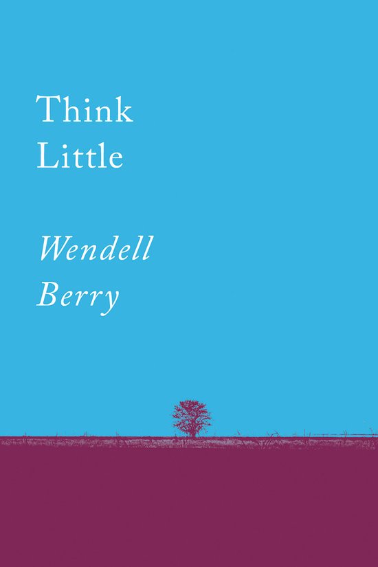 Think Little - cover
