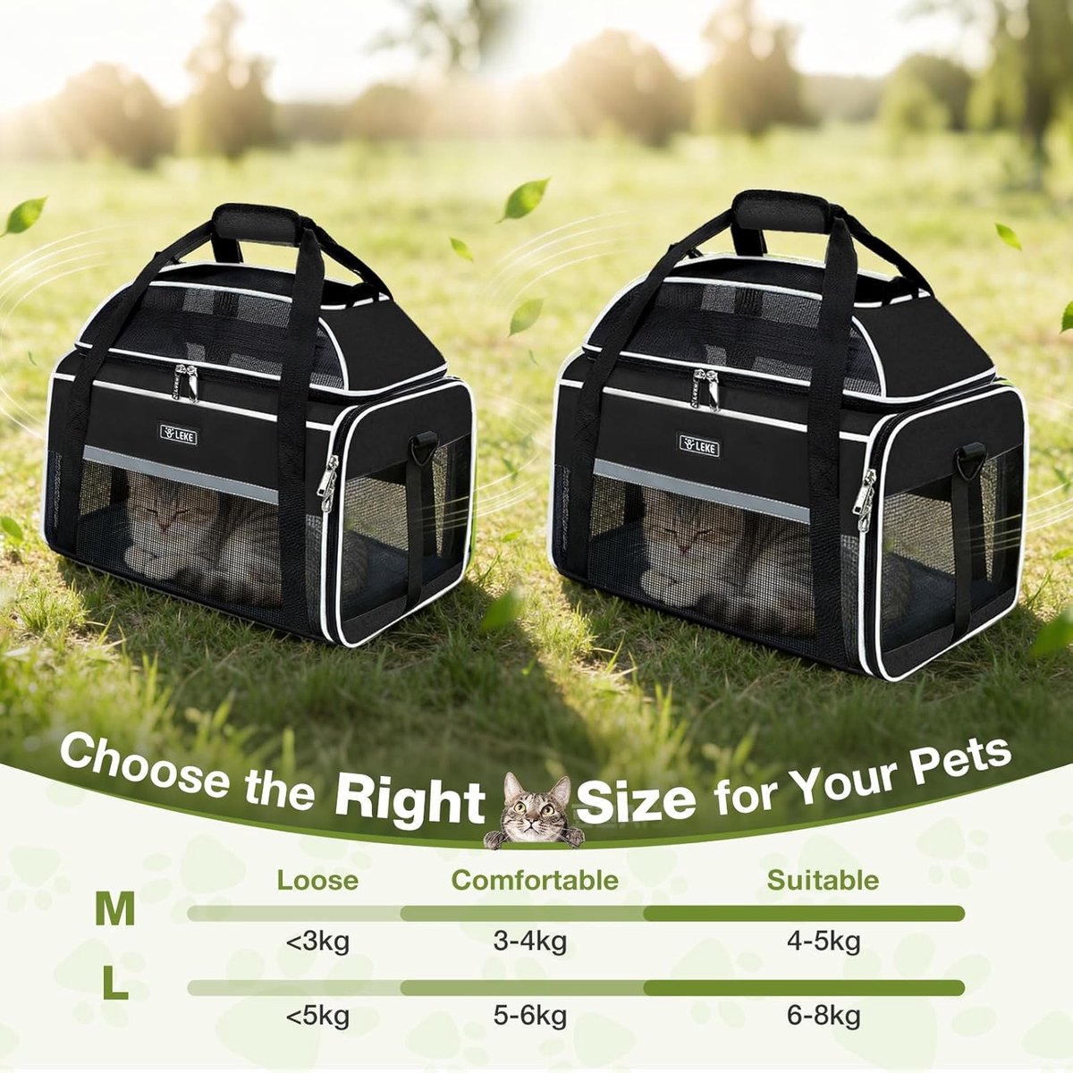 SnelShoppen - Kattentransportboxtas, Hondentransporttas voor Honden en Katten, Uitbreidbaar Bovenkant, Maximaal 5 kg, Zwarte Transportbox voor Dierena