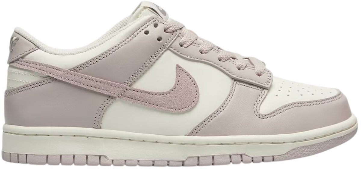 NIKE DUNK LOW BG Nike Unisex Sneakers Model FB9109-122 Veelkleurig