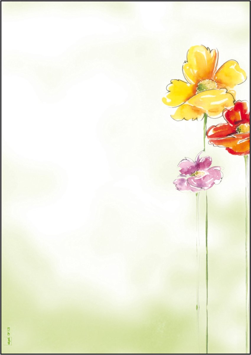 Solidchoice - A4 Motiefpapier 'Lente Bloemen' (50 Vellen)