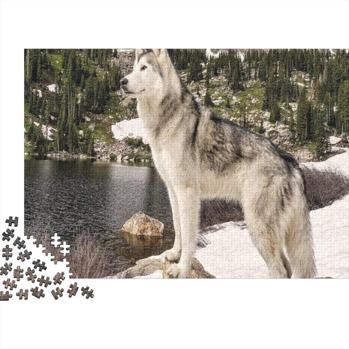 Fotopuzzel 1000 Stukjes - Dieren Legpuzzel - Ontspanning en Plezier - Unieke Vormen - 75 x 50 cm - Kleurrijk
