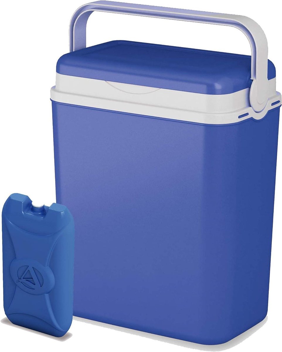 Isolerende Koelbox - Picknickkoeler - Eten Koel Houden - Afsluitbare Draaghendel - 12 Liter - Blauw