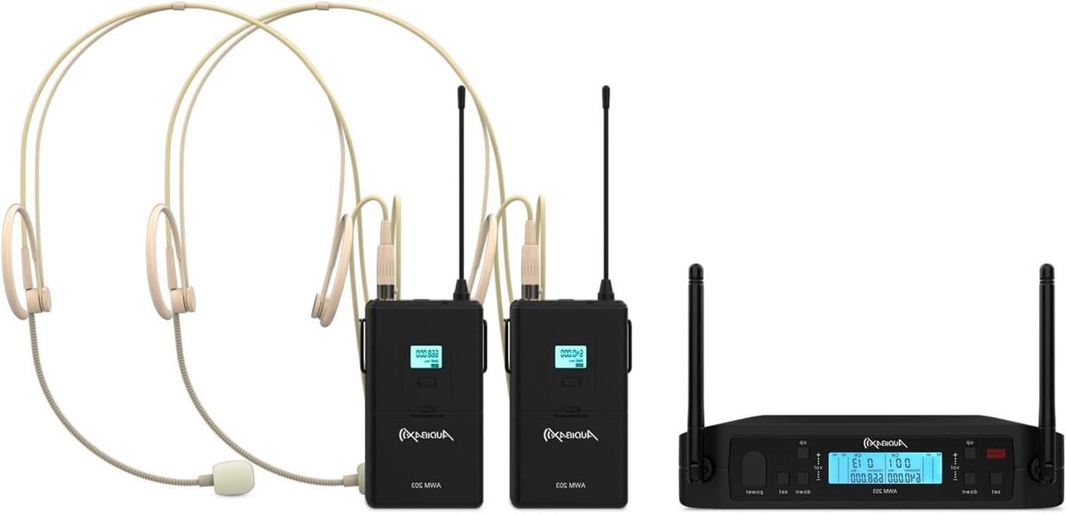 Draadloos Microfoon Systeem - UHF Microfoon Set - Live Presentaties - Twee Kanalen - 640-690 MHz - Zwart
