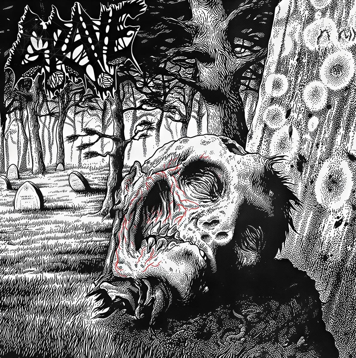 Necropsy