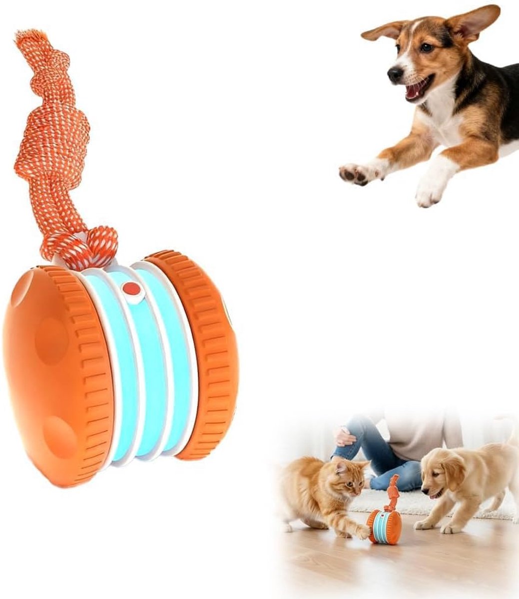 KZQ Interactief rollend balletje voor katten - Bewegingsgeactiveerd met staartbeweging - Automatisch spel voor beweging en verveling - Geschikt voor binnen - Wit