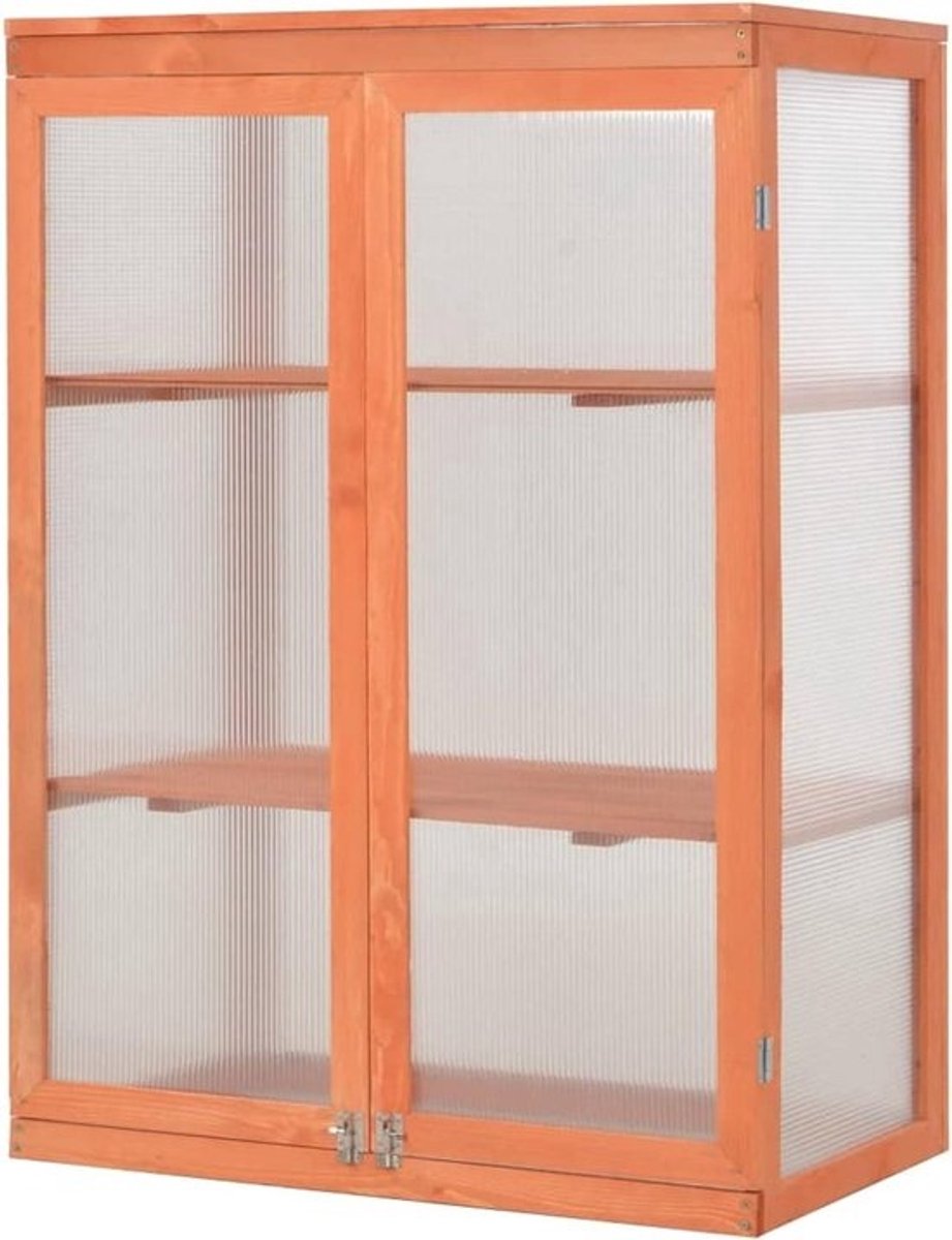 Houten Broeikas - Kweekkas Plantenkas - Planten Beschermen - Twee Etages - 75 x 47 x 109 cm - Houtkleur