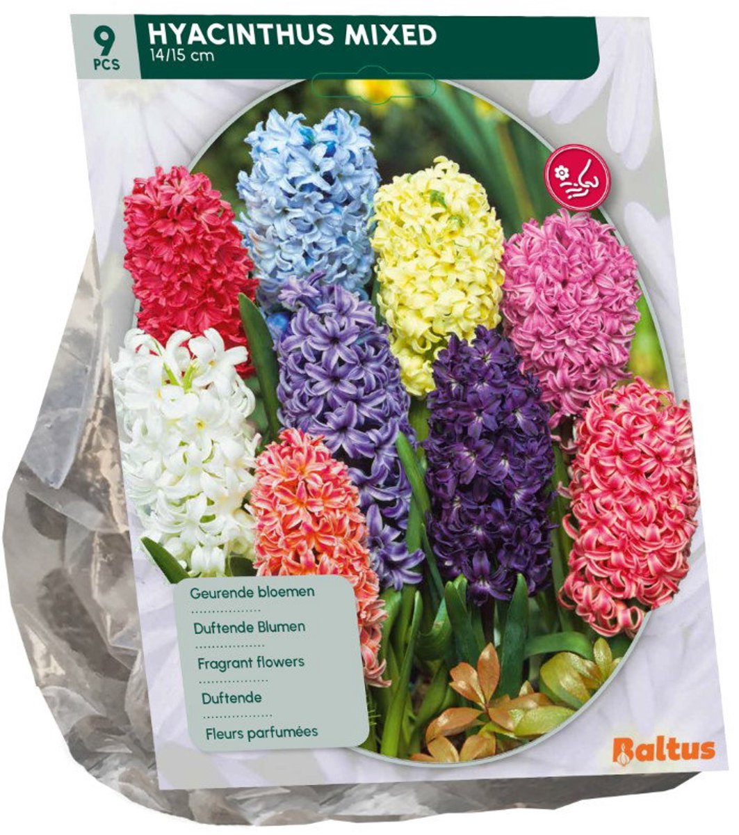 Hyacinth mix 9 stuks bloembollen Baltus