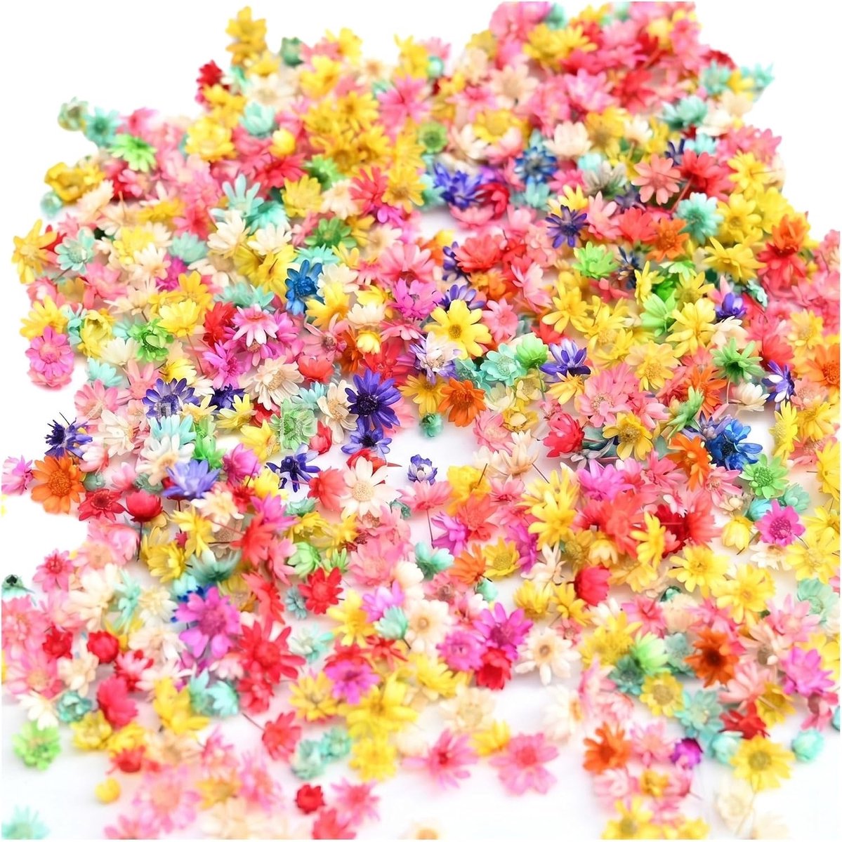 300 stuks mini gedroogde bloemen voor knutselen, natuurlijke geperste bloemen voor sieraden, DIY projecten en epoxyhars mallen