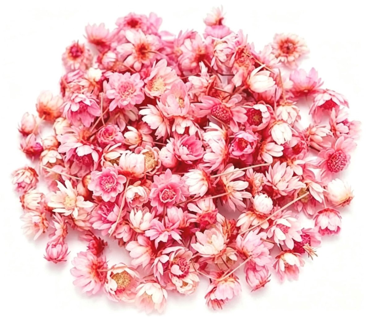 Dried Flowers Set - 280 Stuks in Roze voor Decoratie