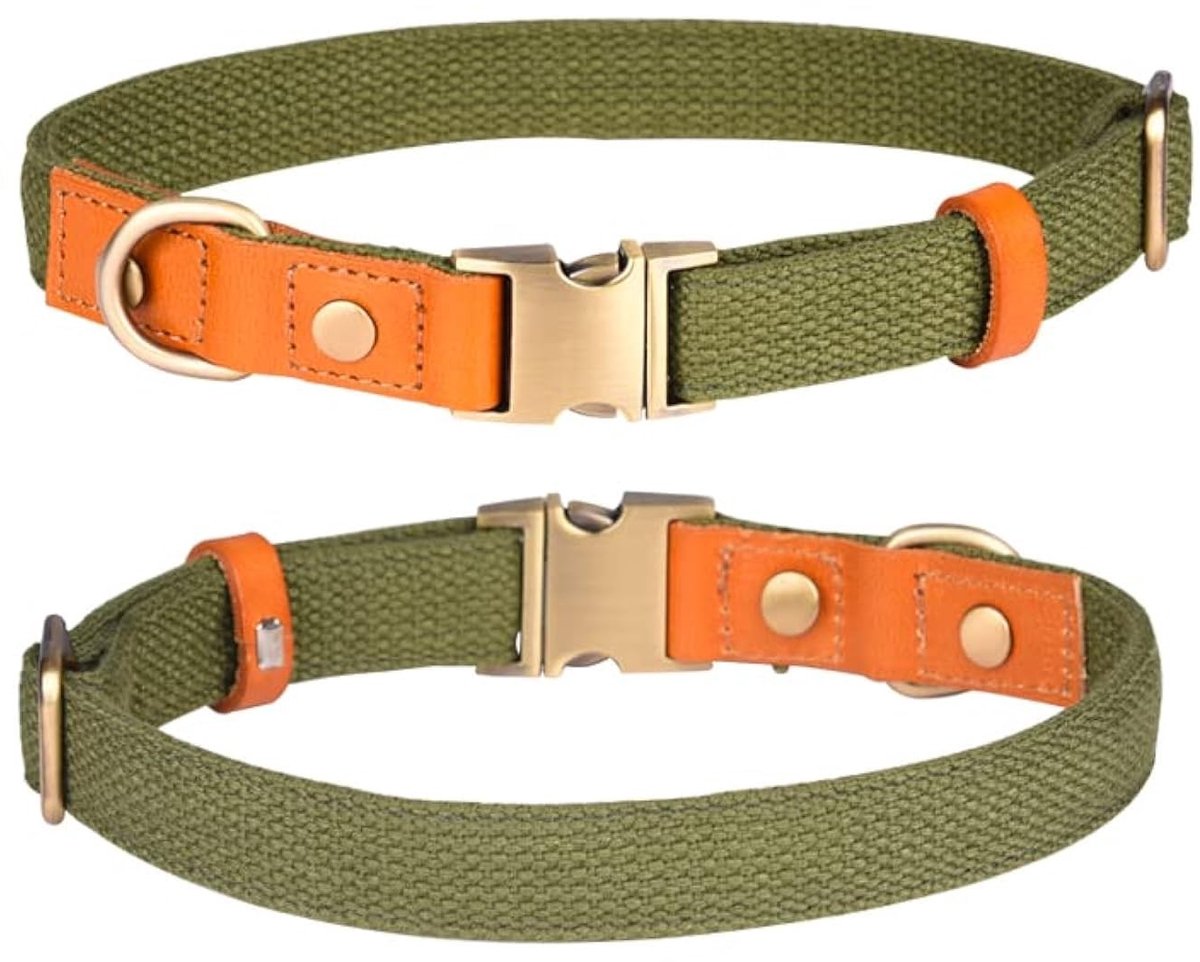 Dailygoods- Halsband Verstelbaar - Nylon/Huisdierhalsband - Veiligheidsgesp - Roestvrij Stalen Sluiting - Lichtgewicht - Ademend Materiaal - Hondenhalsband