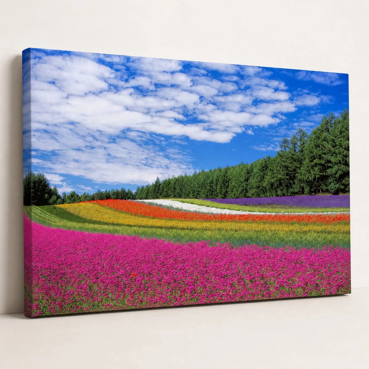 Canvas foto 40x60 cm - Wanddecoratie - Bloemenveld - Muurdecoratie woonkamer - Slaapkamer decoratie - Kamer accessoires - Foto op canvas