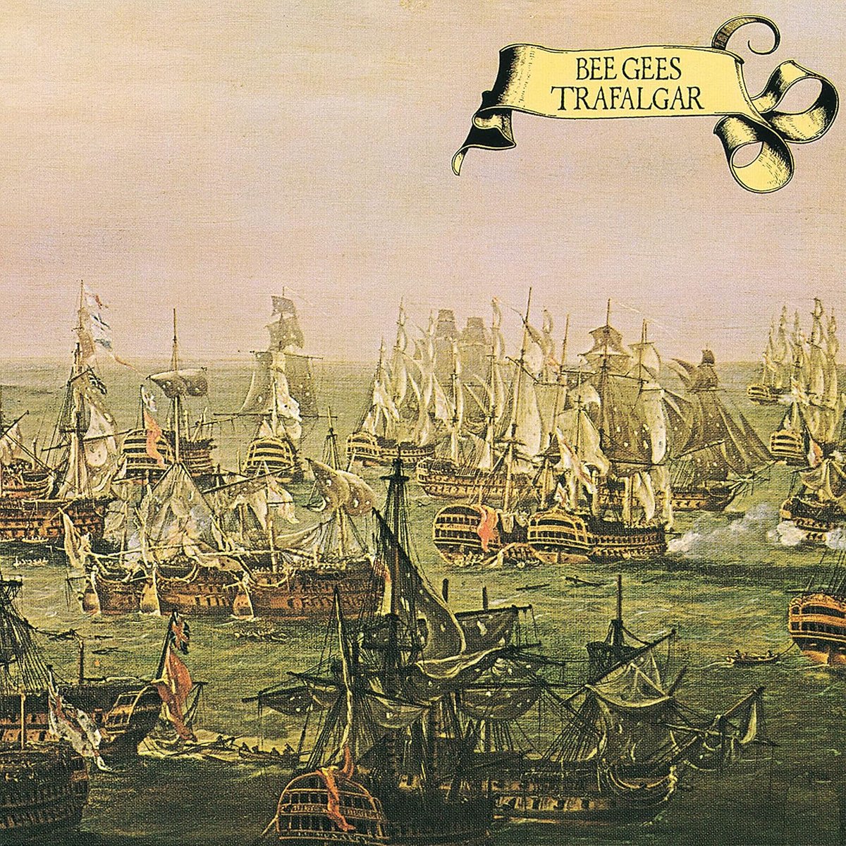 Muziek Album - Audio CD - Muziek Luisteren - Hoge Geluidskwaliteit - 14 cm - Zwart