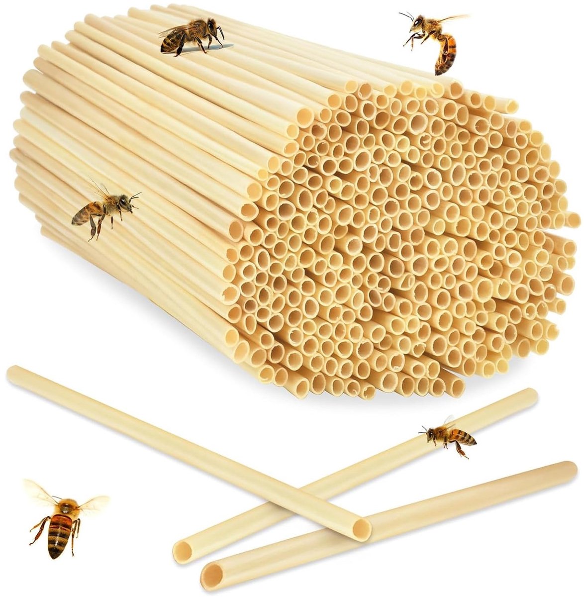 Dailygoods- Bijen Nesthulzen 300 Stuks - Milieuvriendelijke Bamboebuizen - Vulmateriaal Voor Insectenhotel - Natuurlijke Bescherming - Veilig Voor Wilde Bijen - 20 cm