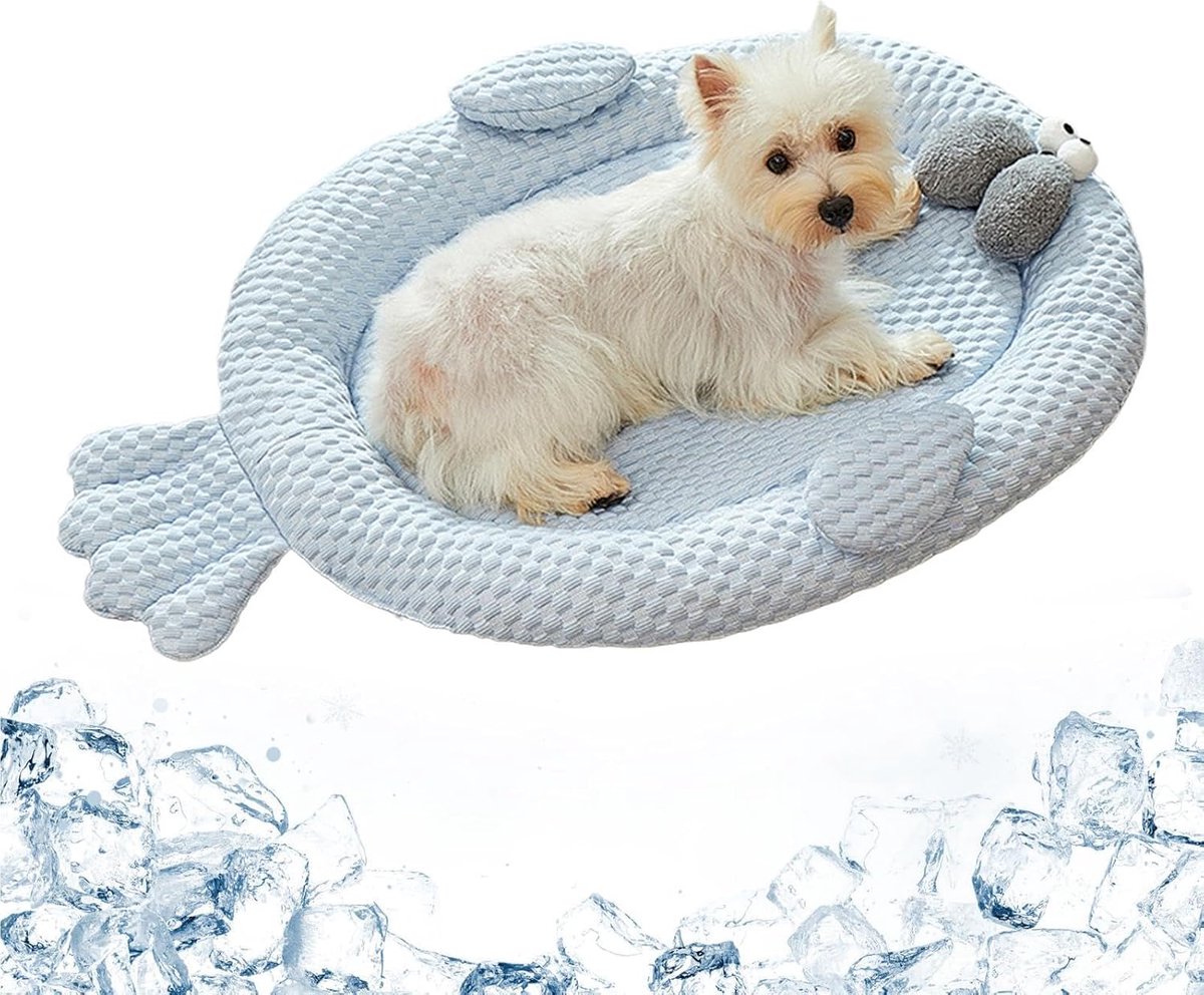 Koelende Kattenbed - Gekoelde Mand - Zomerse Rust - Antislip Wasbaar - 51x42x5 cm - Enkel attribuut