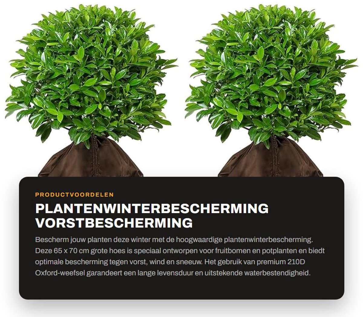 Dailygoods- Plantenwinterbescherming 65 x 70 cm - Vorstbescherming - Plantenhoes met trekkoord - Waterdicht - Robuust - Hoogwaardig 210D Oxford-weefsel