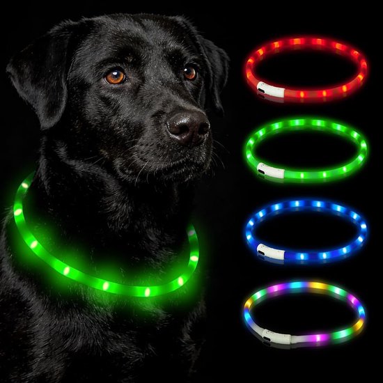 Zwarte labrador met groene LED-halsband, naast rode, groene, blauwe en veelkleurige opties.