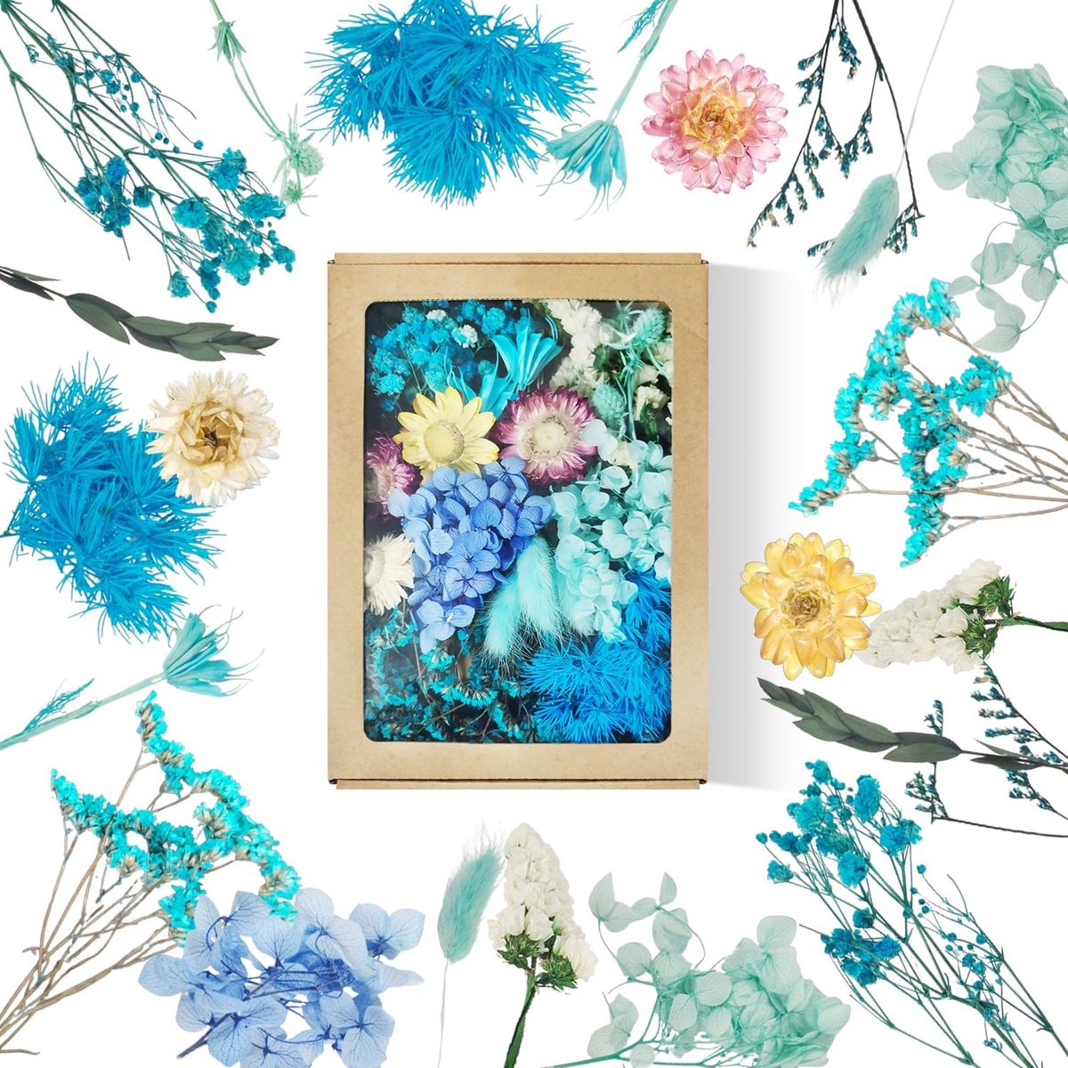 SnelShoppen - Natuurlijke Gedroogde Bloemen in Blauw Papierdoosje - Perfect voor Decoratie, Bruiloften, Feesten, Tuin en Creatieve Projecten