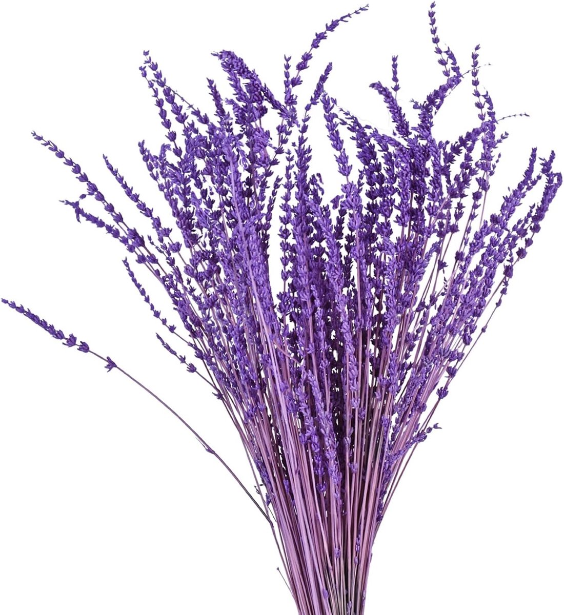 Gedroogde Lavendel - Droogbloemen Bundel - Huis Decoratie - Natuurlijke Geur - 60 gram - Paars