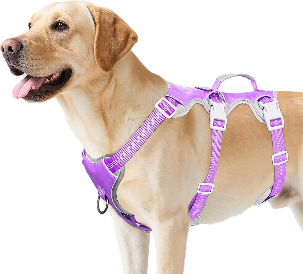 SnelShoppen - Escape Proof Hondenharnas voor Kleine, Medium en Grote Honden, Ademend, Duurzaam, Waterdicht, Reflecterende Strips, Lavendel Paars, Maat