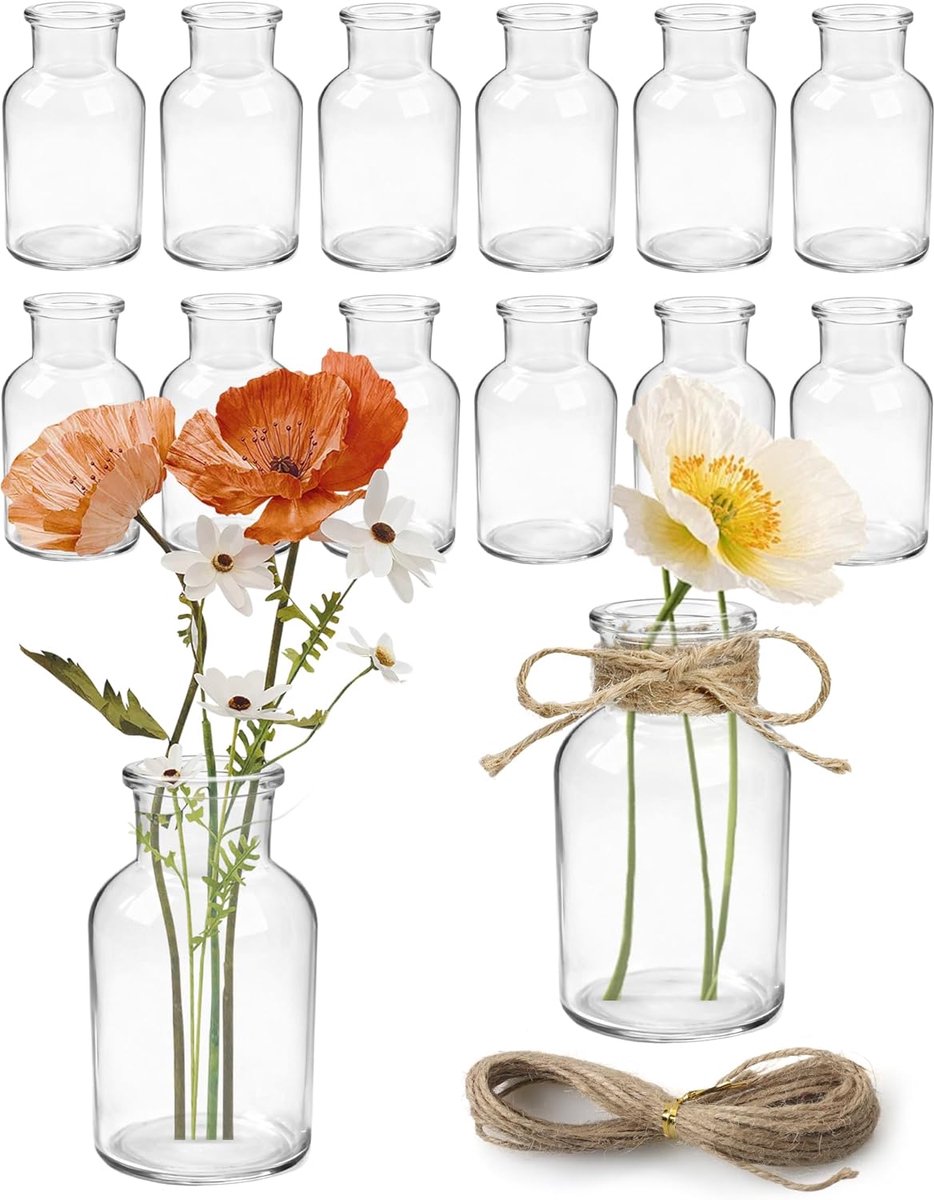 SnelShoppen - Set van 12 Kleine Glazen Vazen 125 ml met 5 m Jute Touw, Vaatwasserbestendig, Tafel Decoratie, Bloemenvazen, Centerpieces voor Bruiloft,