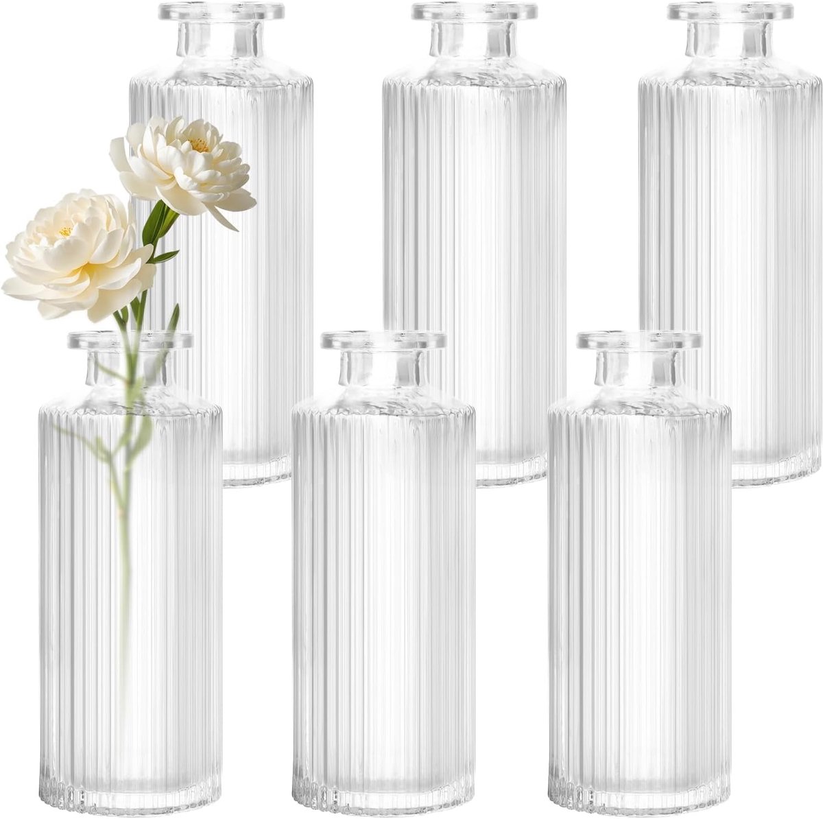 SnelShoppen - Set van 6 Kleine Glazen Vazen, Vintage Bloemenvazen, 13 cm Hoog, Decoratieve Flessen Transparant voor Thuis, Bruiloften, Verjaardagen