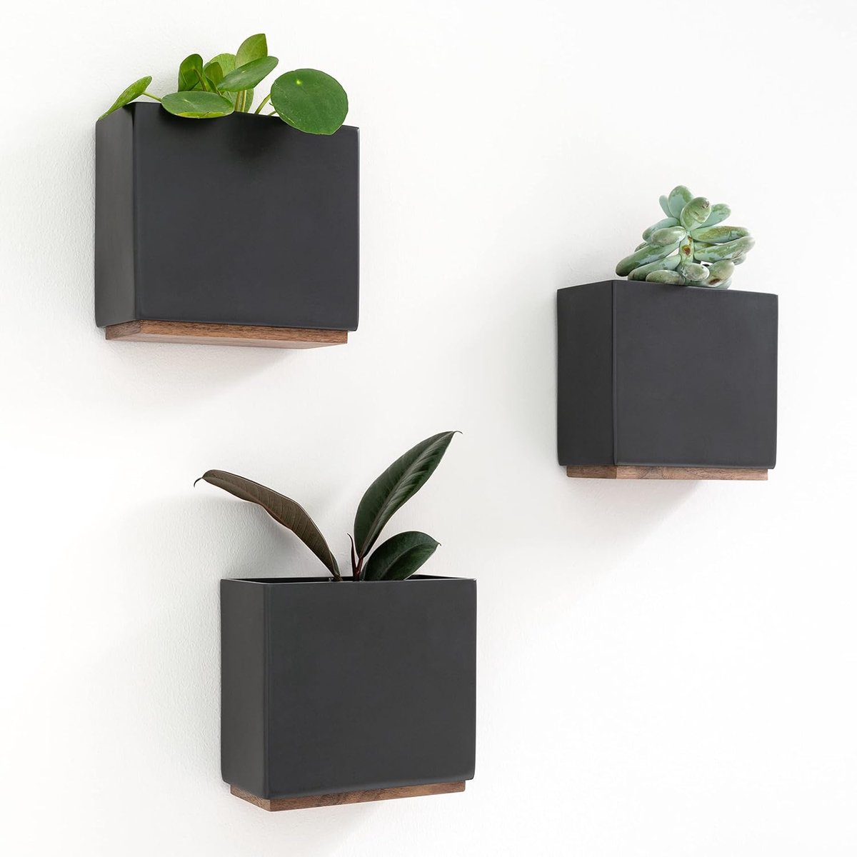 SnelShoppen - Wandplantenbakken Set van 3 | Moderne Hangende Plantenpotten van Hars | Minimalistisch Zwart | Voor Binnen, Kunstplanten en Meer