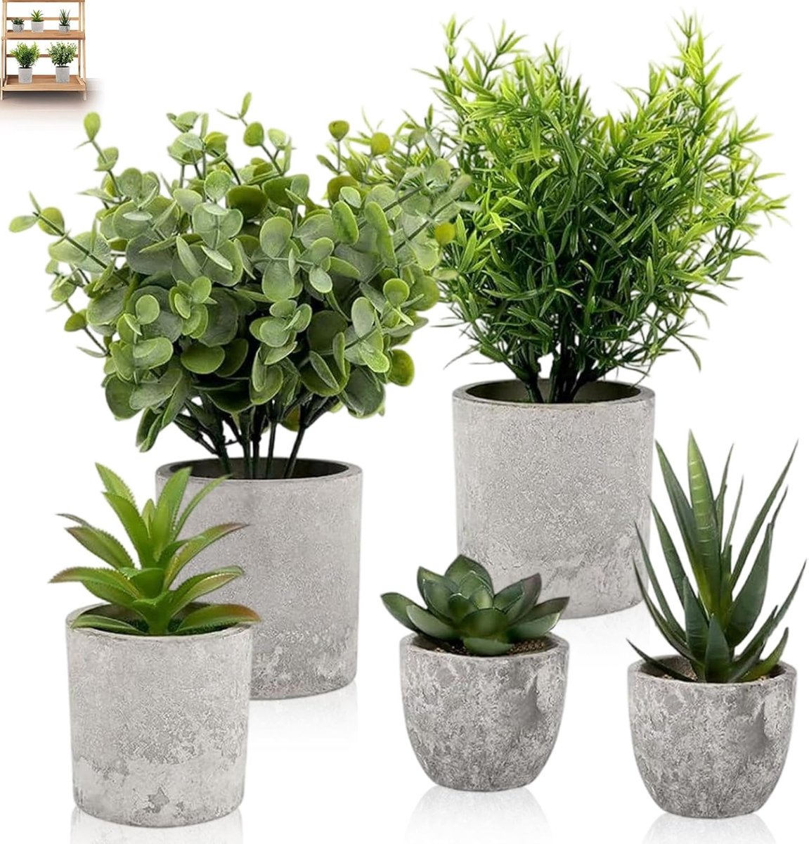 SnelShoppen - 5 Stuks Decoratieve Kunstplanten met Potten, Kleine Kunstplanten voor binnen, Eucalyptus, Succulenten en Slangen Tong, Realistische Kuns