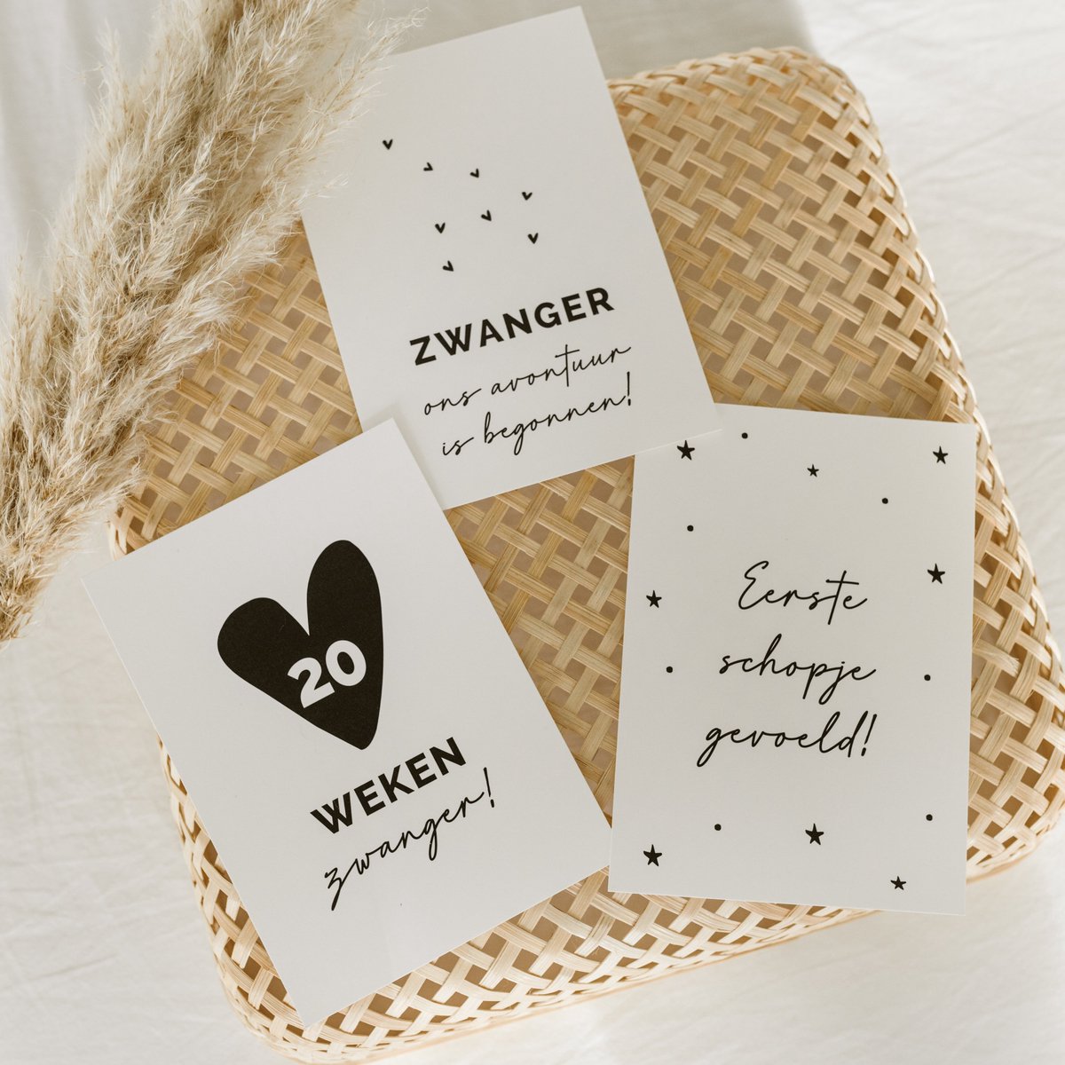 WeLikeToLove - Mijlpaalkaarten baby - Baby cadeau - Kraamcadeau - Jongen - Meisje - Babyshower - Milestone cards - Geboorte - Zwangerschap - 20 stuks