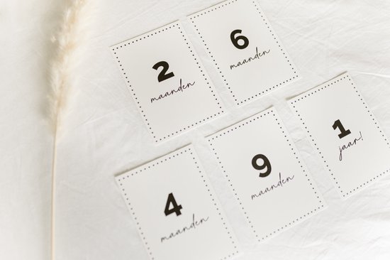 Baby mijlpaalkaarten met getallen en de tekst '2 maanden', '6 maanden', '4 maanden', '9 maanden', '1 jaar'.