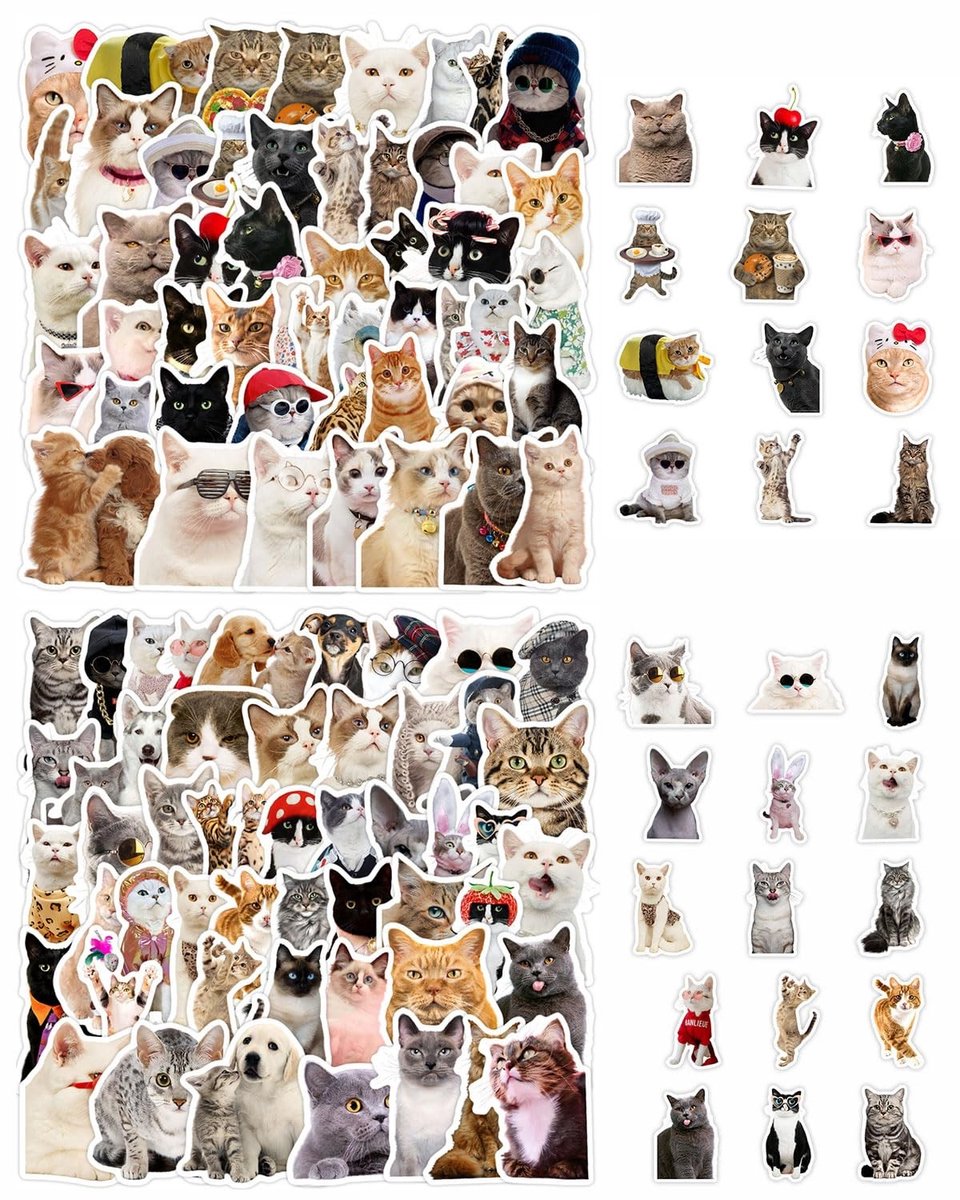 Solidchoice - 100 Schattige Kattenstickers voor Creatieve Projecten