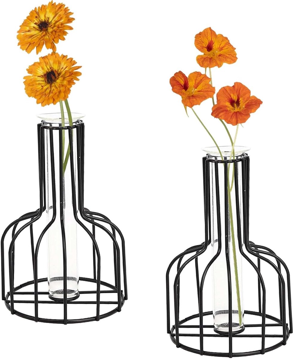 SnelShoppen - Set van 2 Zwarte Bloemenvazen met Metal Frame en Transparant Glas, Kleine Bud Vazen voor Bruiloft Decoratie, Tafel Decoratie, Woonkamer