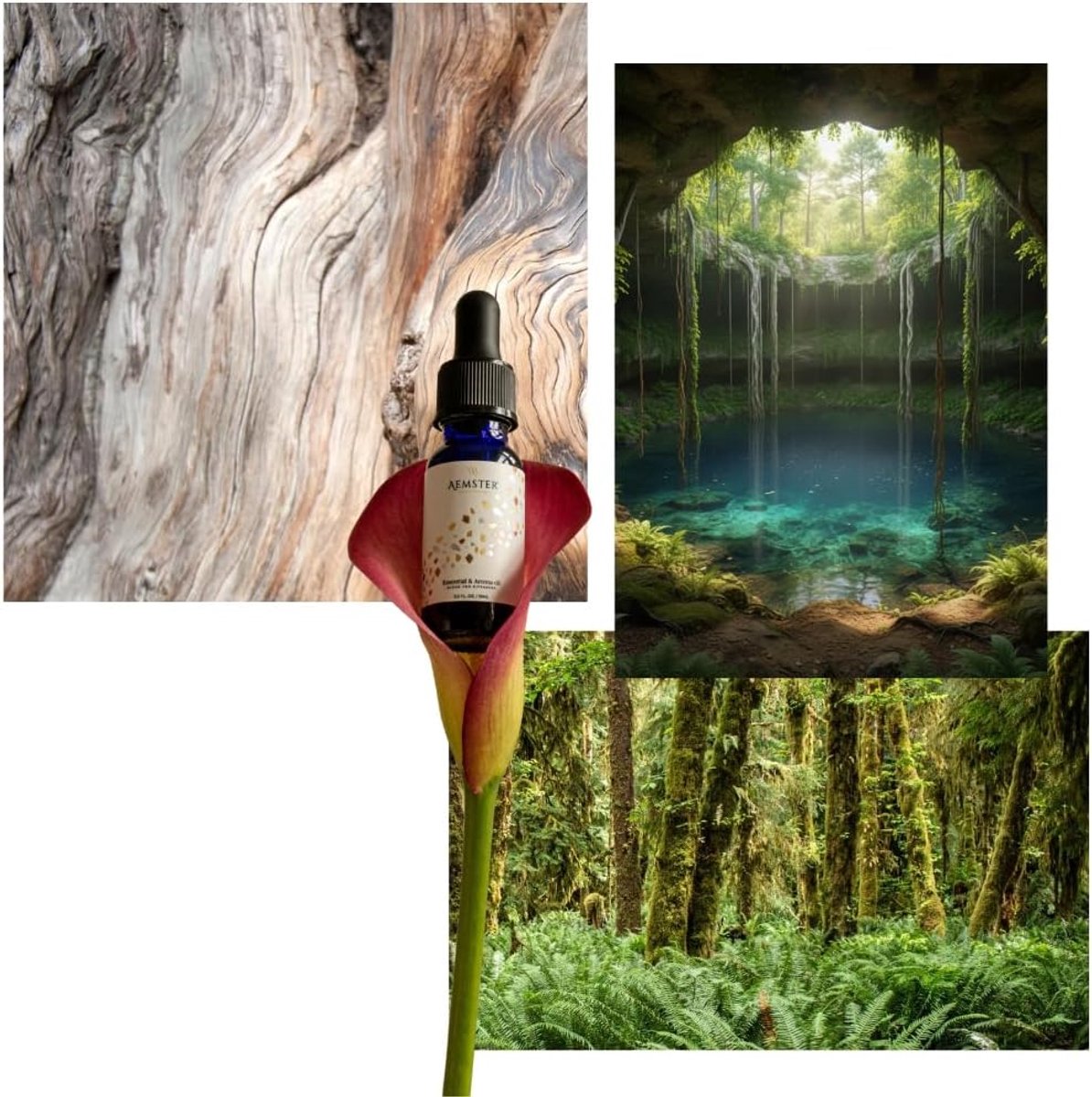 SnelShoppen - Cedar Cenote Geurolie 120ml - Huisparfum voor Aroma Diffusers - De perfecte geur voor een exotische sfeer - Figuur, dennen en cederhout