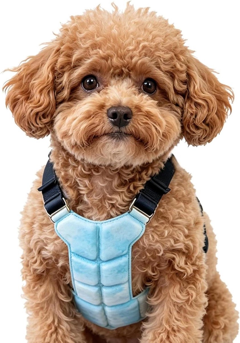 Hondenkoelvest - Honden Zomerkleding - Warm Weer Buiten - Gelgebaseerd Koelsysteem - Verstelbaar - Blauw