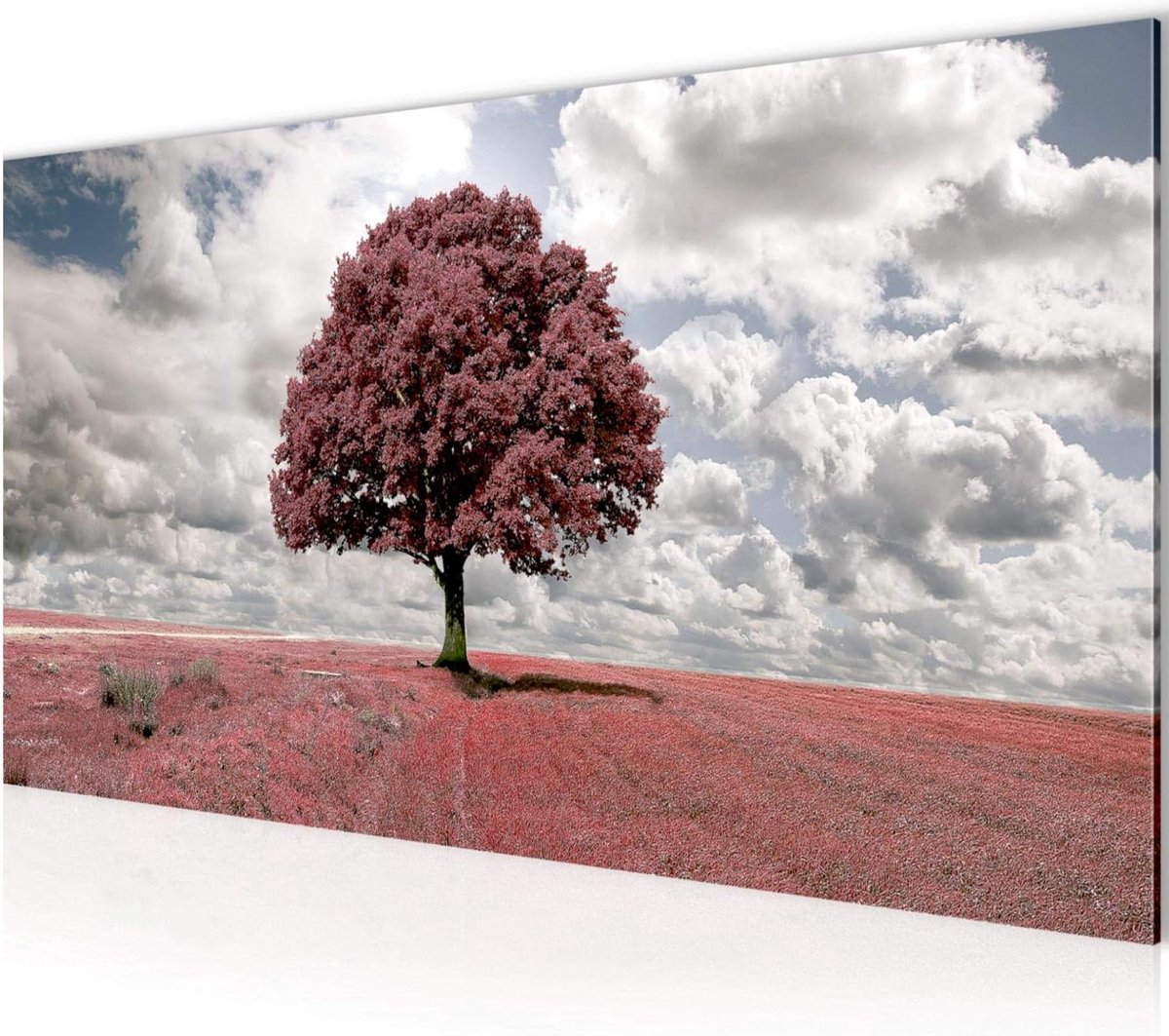 Canvas Schilderij - Wanddecoratie Muurkunst - Woonkamer Inrichten - Natuurlijk Motief - 100x40 cm - Rood Grijs
