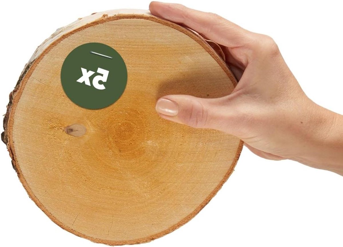 Houten schijven - Decoratie schijven - Knutselen en decoreren - Natuurlijk berkenhout - 5 stuks 16-18 cm - Natuurlijk