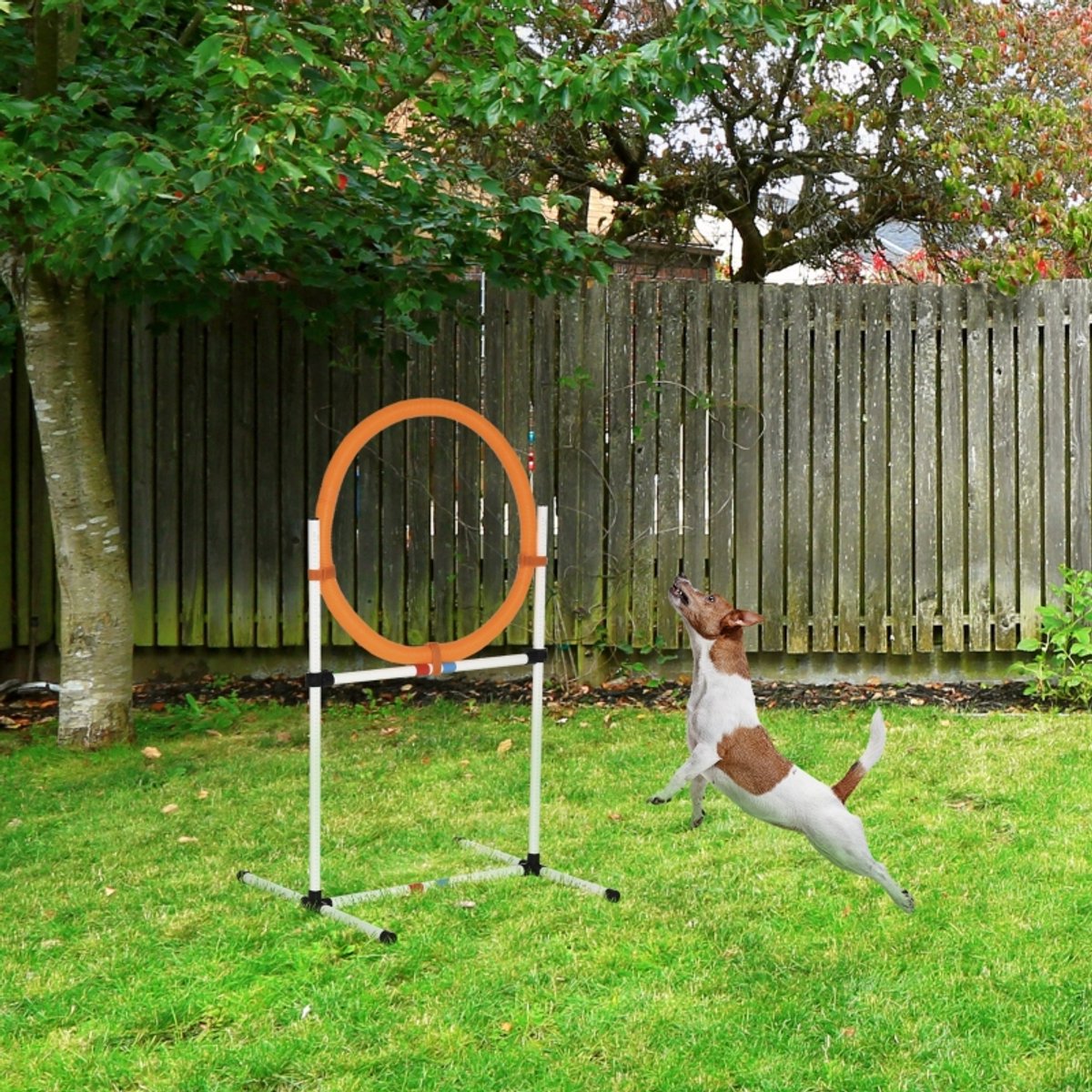 MIVRAY Springring – 74,5 x 66 x 91 cm – 2-in-1 Trainingshindernis – Kunststof – Geel – Voor Agilitytraining Op Vlakke Ondergrond