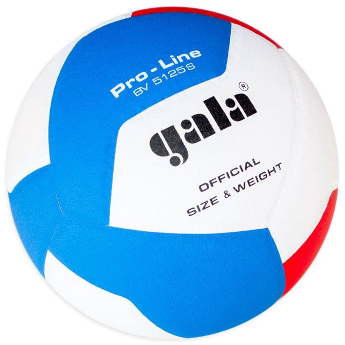 Volleybalbal Pro Line 10 Bv 5125s