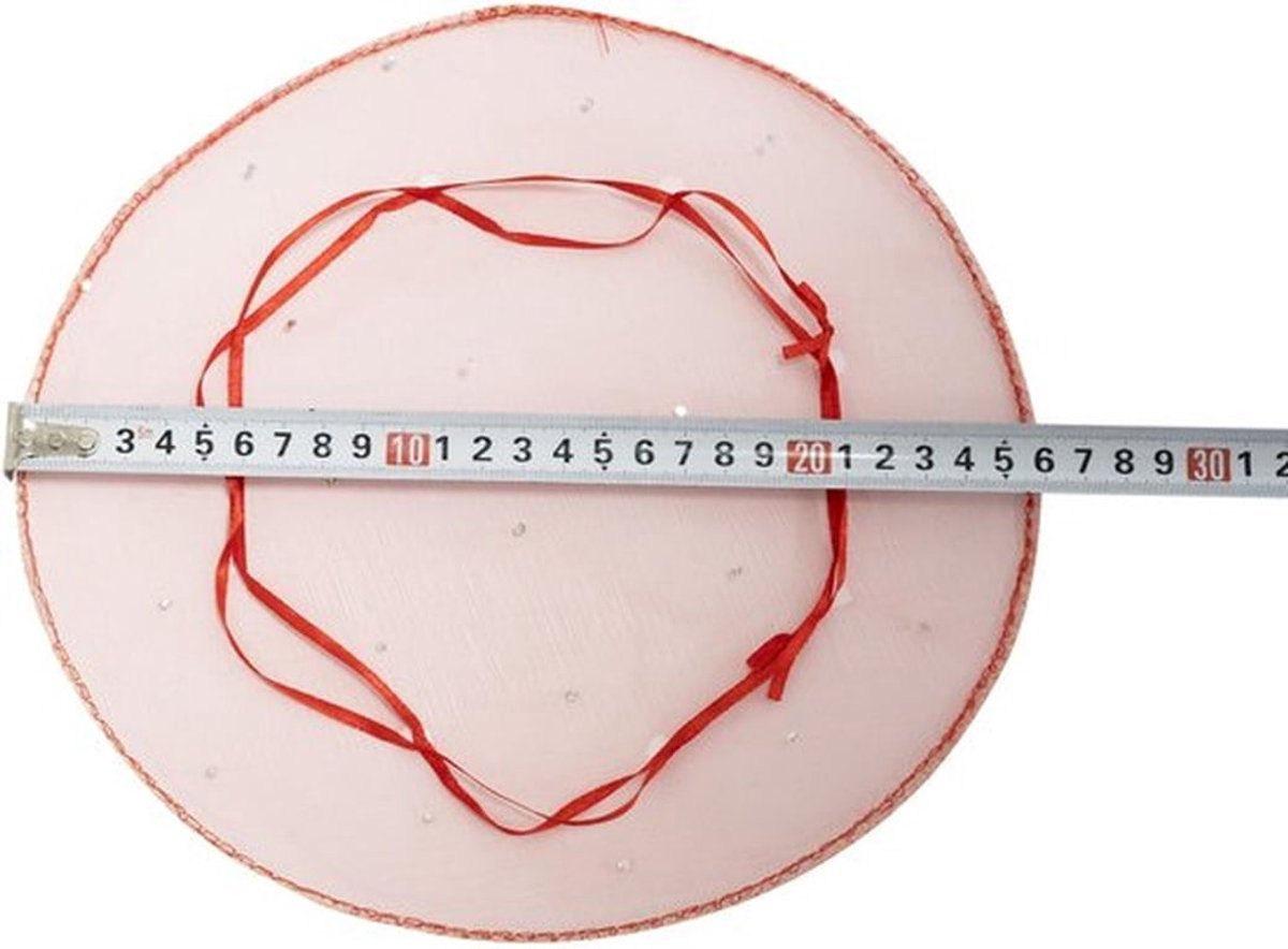 Organza Zakken Set van 10 - Ronde Zakjes - Cadeauzakjes - Inpakzakjes - Decoratieve Zakjes - Persoonlijk Tintje