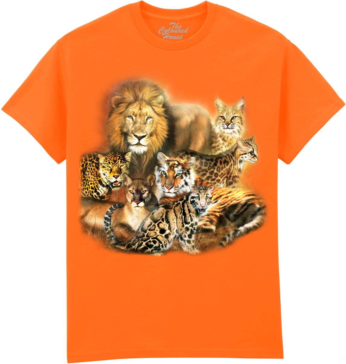 Cat Power The Coloured House T-shirt 4XL