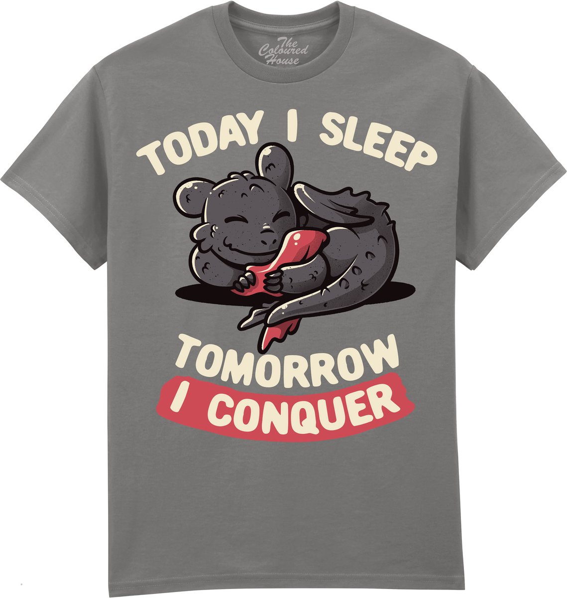 Draak Today I Sleep, Tomorrow I ConquerThe Coloured House T-shirt 3XL
