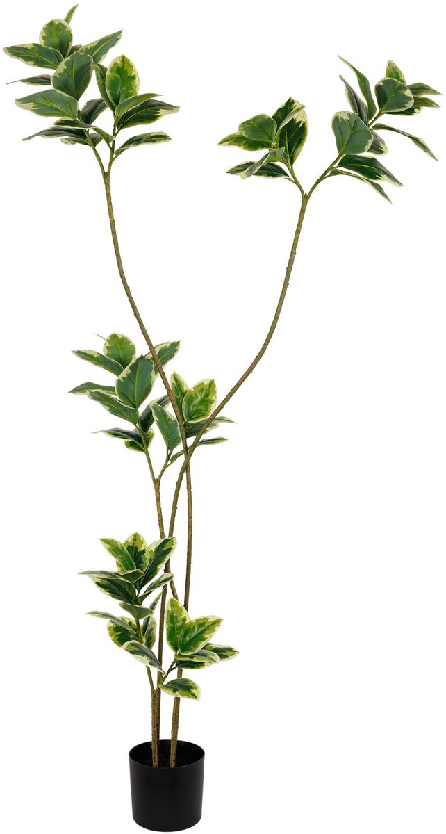 Kunstboom ficus real touch 200cm