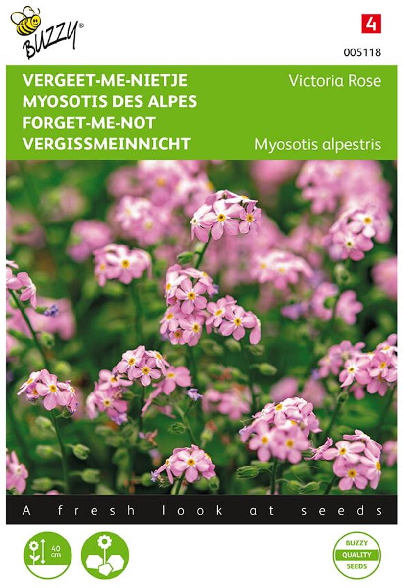 Buzzy - Vergeet-me-nietje Victoria Rose (Myosotis)