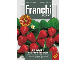 Franchi - Aardbei Franchi - agola Quatro stagioni 63/1