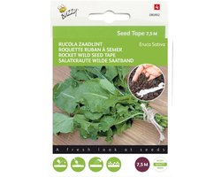 Rucola Zaadlint – Buzzy Seed Tape - Moestuin - bloeit in Oktober / Mei / Juni / Juli / Augustus / September