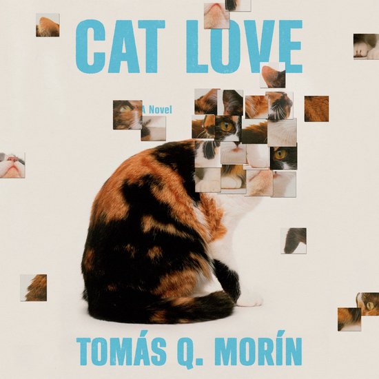 Cat Love - cover