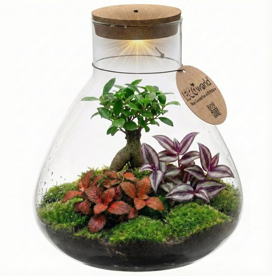 vdvelde.com - Planten terrarium met verlichting - Ecoworld Tropical Biodome - Planten in glazen pot - 3 gekleurde kamerplanten Planten - Bolvormig glas - Hoogte 25 cm