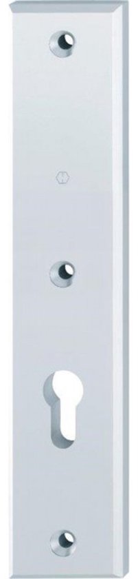 Plaque de porte rectangulaire, argentée en acier inoxydable avec serrure et deux trous de vis.