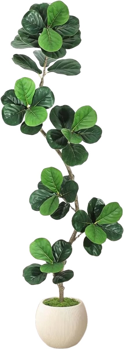Happiq Kunstmatige Fiddle Leaf Fig Tree - Voor thuis of kantoor - Decoratief en onderhoudsvriendelijk - Grote faux Ficus met witte plantenbak - Groen-180cm